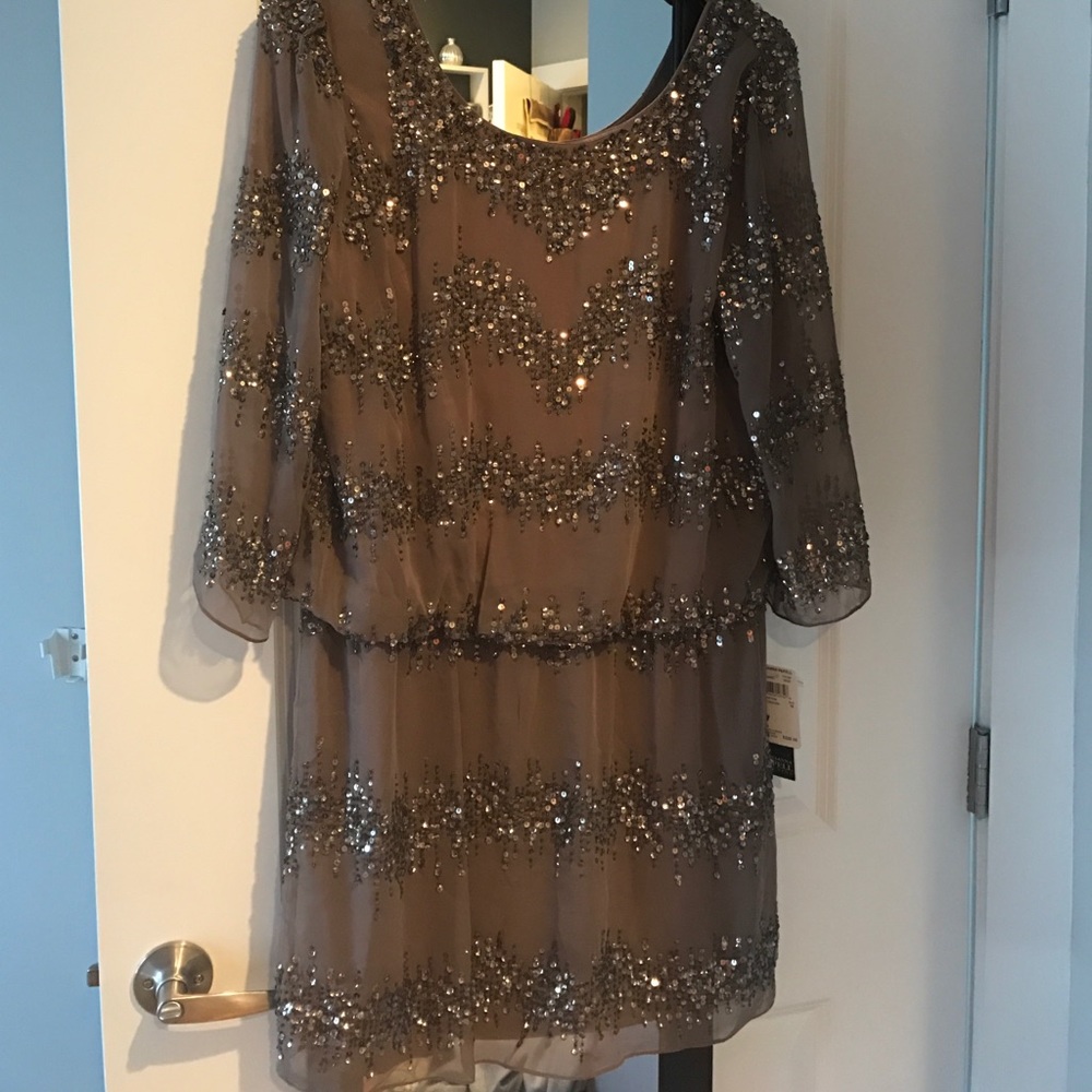 Adrianna Papell Beaded Evening Dress Size 16